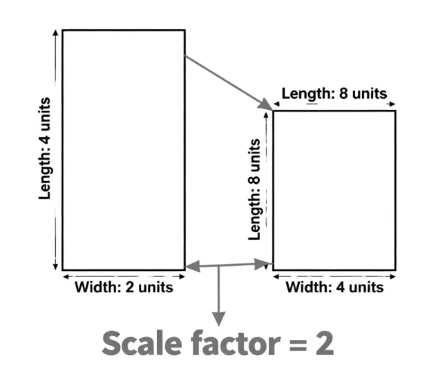 How to Find the Scale Factor of a Rectangle Step by Step Guide